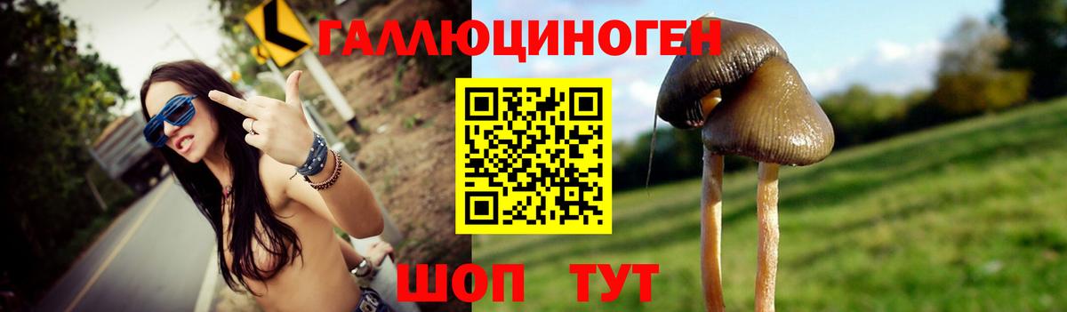 Лабинск  Псилоцибиновые грибы MAGIC MUSHROOMS  Вход с VPN 